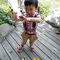 SAM_8417