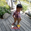 SAM_8418