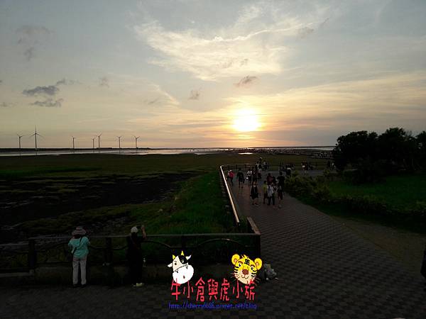 714高美濕地_170725_0096.jpg