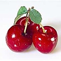 Cherry-10.jpg