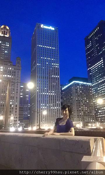 20120713 (16)Chicago downtown夜景