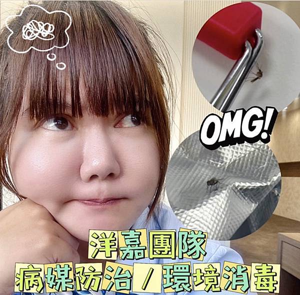 [生活推薦]蟲蟲危機不再來!桃竹苗在地環衛專家，指名『洋嘉病