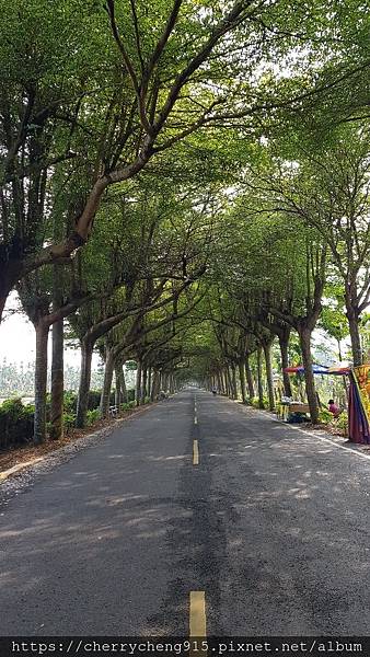 20201018_091120.jpg7029860392224396774