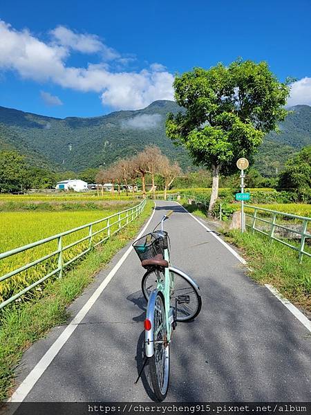 temp235.90209602409416.jpg3418359493688154476 temp235.90209602409416.jpg3418359493688154476