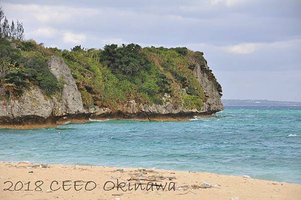 DSC_0642.JPG DSC_0642.JPG