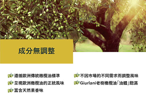 義大利《Giurlani》老樹純橄欖油