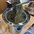 茶樹3.jpg