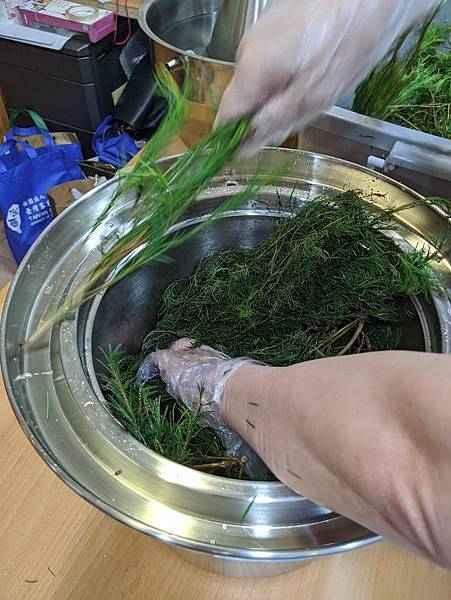 茶樹入機器桶子.jpg 茶樹入機器桶子.jpg