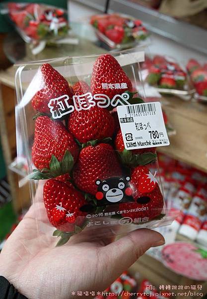 2014草莓購入@熊本