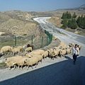 Turkey  Feburary 2011 758.JPG