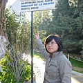 Turkey  Feburary 2011 844.JPG