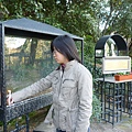 Turkey  Feburary 2011 846.JPG