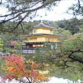 金閣寺與美美的楓葉