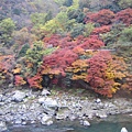 龜岡-嵐山小火車沿途風光