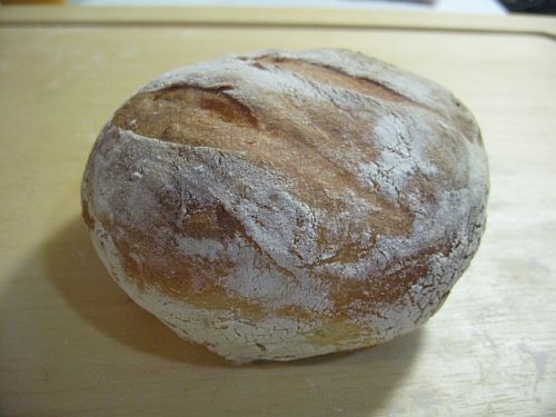 image 508.jpg image 508.jpg