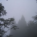 霧中的見晴步道  之二