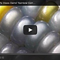 131006glassgemcorn.jpg