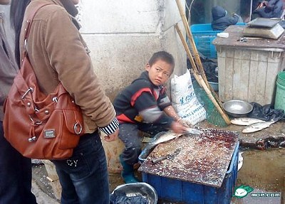 殺魚弟 - 蘇州 殺魚弟1.jpg 殺魚弟 - 蘇州 殺魚弟1.jpg