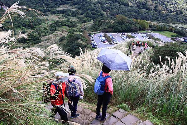 衝啊 - 芒花海 !  七星山冷水坑登山口   112110