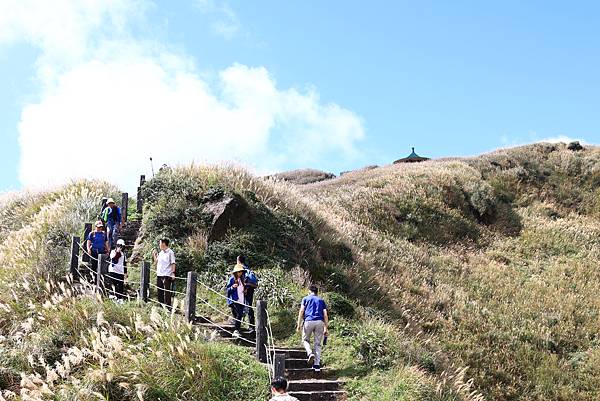 衝啊 - 芒花海 !  七星山冷水坑登山口   112110