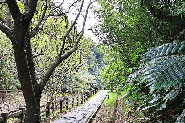 豹山親山步道  1121107