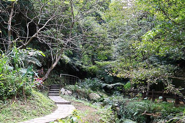 豹山親山步道  1121107