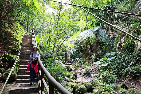 豹山親山步道  1121107