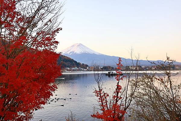 大井川5日 -0   富士山麓河口湖   1121128