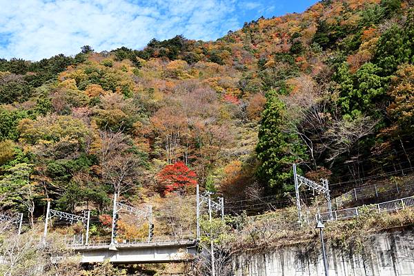 大井川五日 -1  長島水壩  1121129