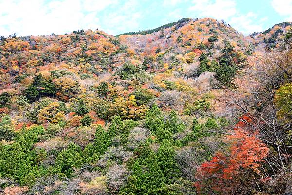 大井川五日 -1  長島水壩  1121129