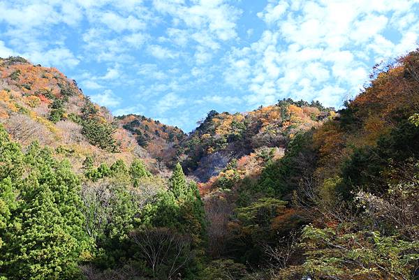 大井川五日 -1  長島水壩  1121129