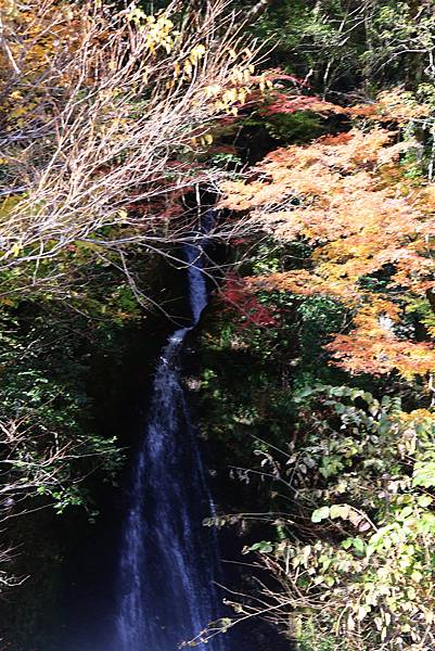 大井川五日 -3    大湖井上驛   1121201