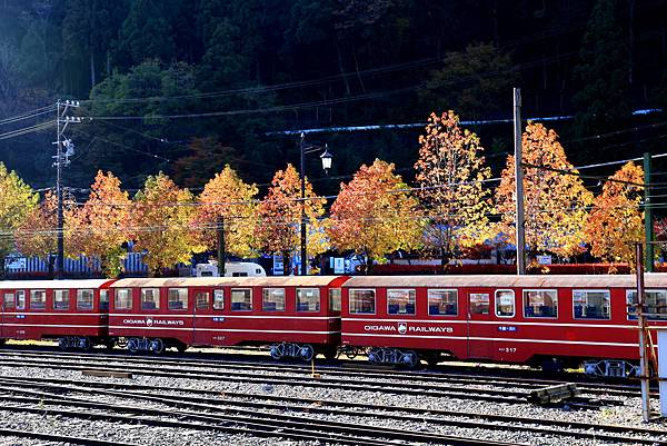 大井川五日 -3    大湖井上驛   1121201