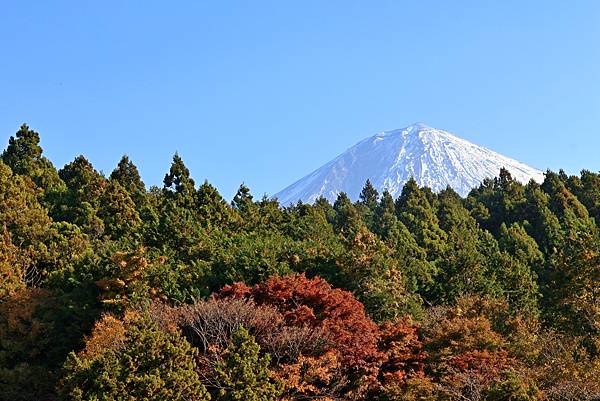 大井川五日 -5  **白絲瀑布**   1121203