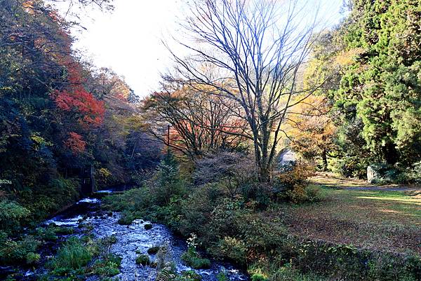 大井川五日 -5  **白絲瀑布**   1121203