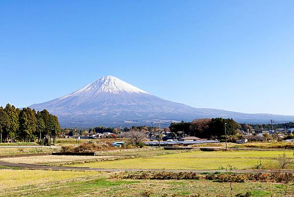 大井川五日 -6 賞楓小健走   1121204