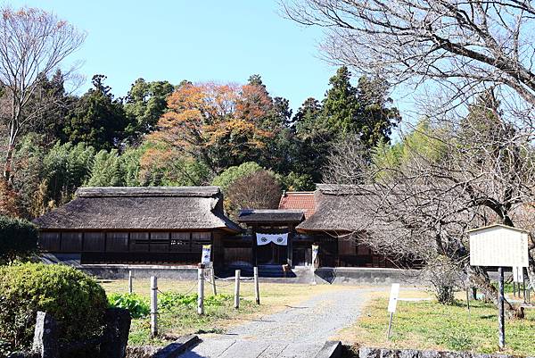 大井川五日 -6 賞楓小健走   1121204