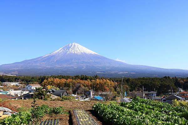 大井川五日 -6 賞楓小健走   1121204