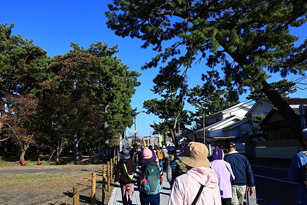 大井川5日 -7   三保松園  1121205