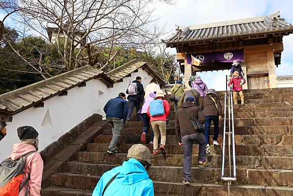 大井川5日 -10  掛川城 1121208