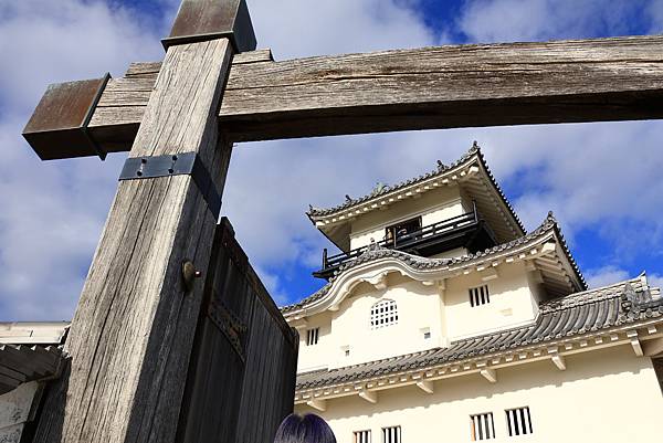 大井川5日 -10  掛川城 1121208