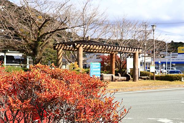 大井川5日 -11 天龍濱名湖鐵道觀光   1121209