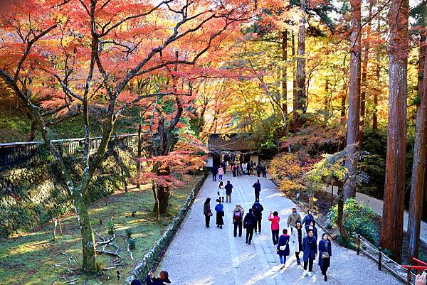 大井川5日-13 香積寺   1121216