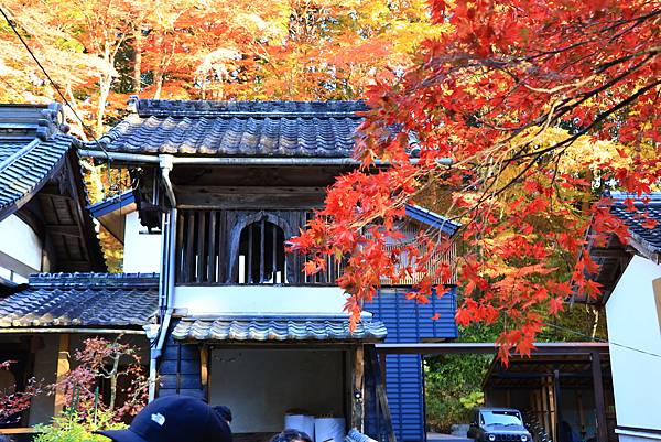 大井川5日-13 香積寺   1121216