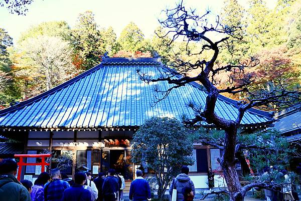 大井川5日-13 香積寺   1121216