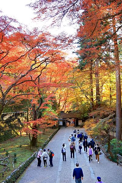 大井川5日-13 香積寺   1121216