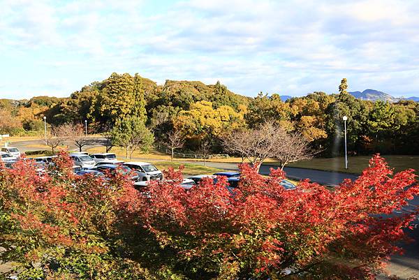 大井川5日-17 彩香渡假村  1121220