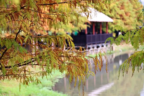 原住民主題文化公園  1130105