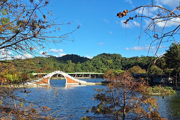 內湖大湖公園  1130113