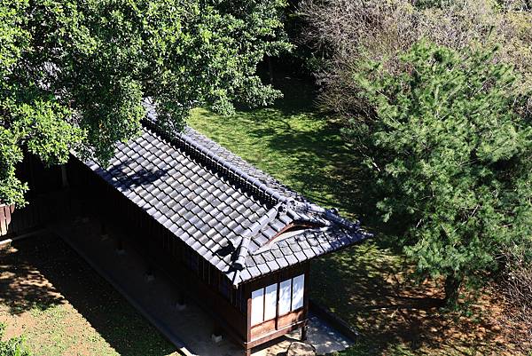 新春偶感  (水博館遊記)  1130211